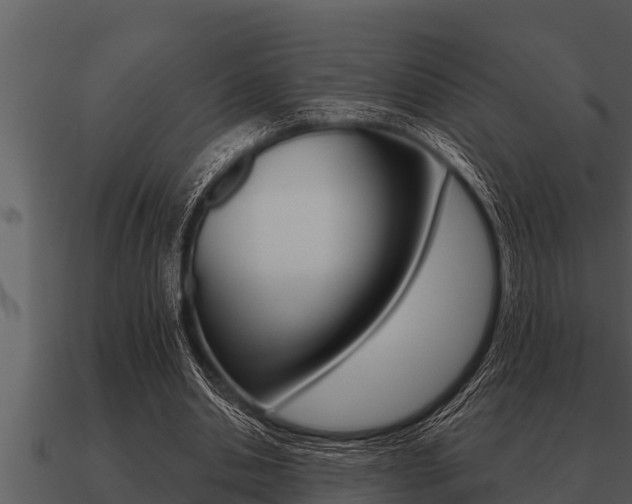X0000091090438200708061002