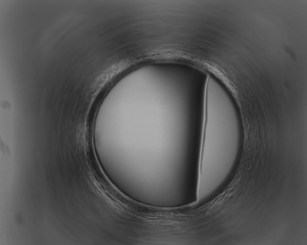 X0000091090439200708061002
