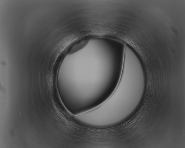 X0000091090440200708061002