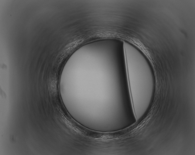 X0000091090441200708061002