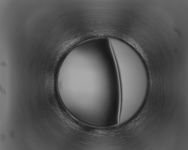 X0000091090442200708061002