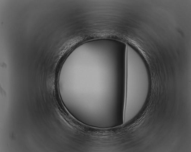 X0000091090443200708061002