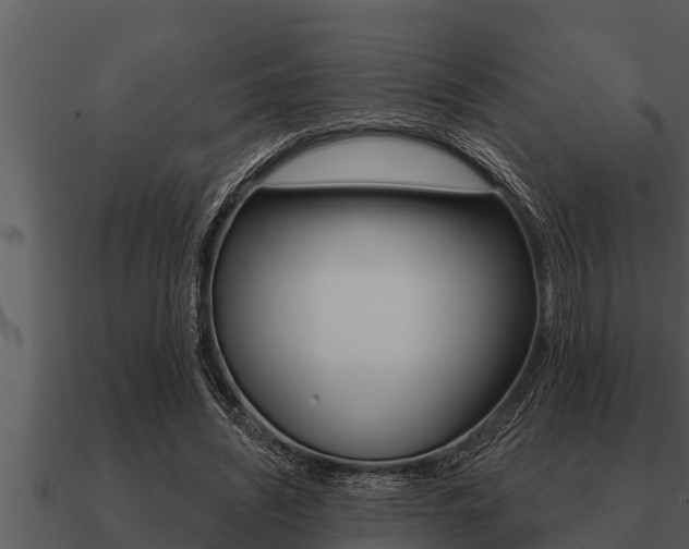 X0000091090444200708061002