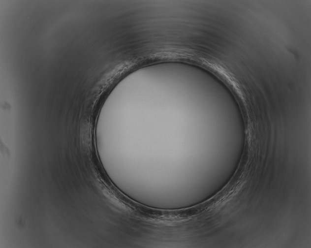 X0000091090445200708061002