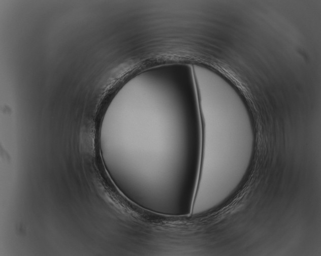 X0000091090446200708061002