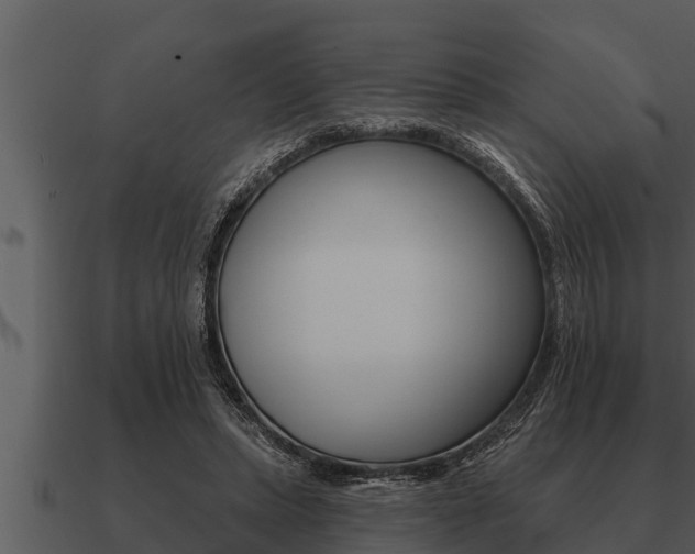 X0000091090447200708061002