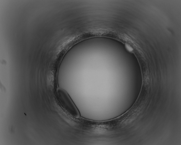 X0000091090448200708061002