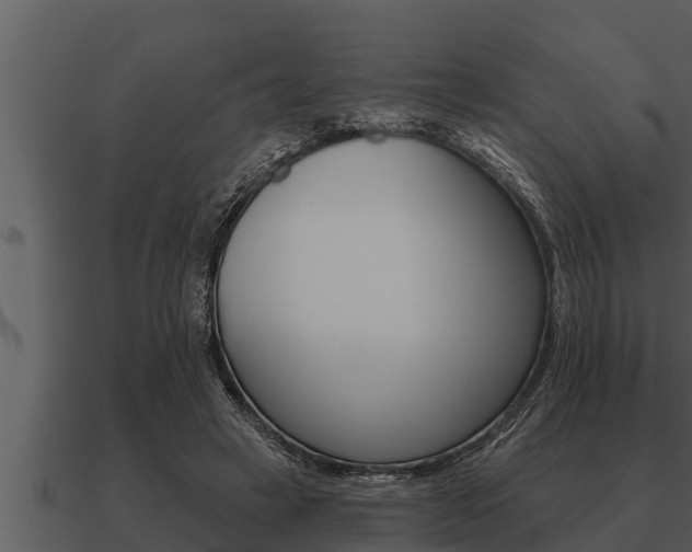 X0000091090449200708061002