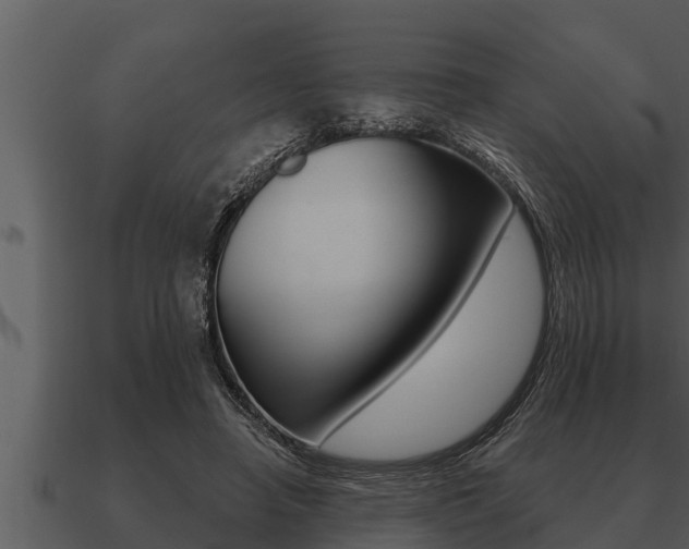 X0000091090450200708061002