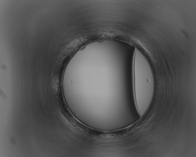 X0000091090451200708061002