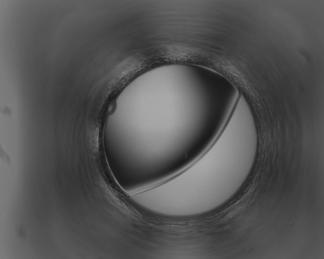 X0000091090454200708061003