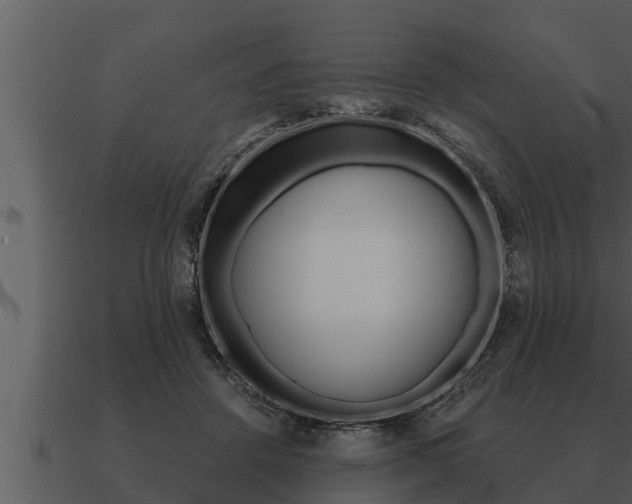 X0000091090456200708061003