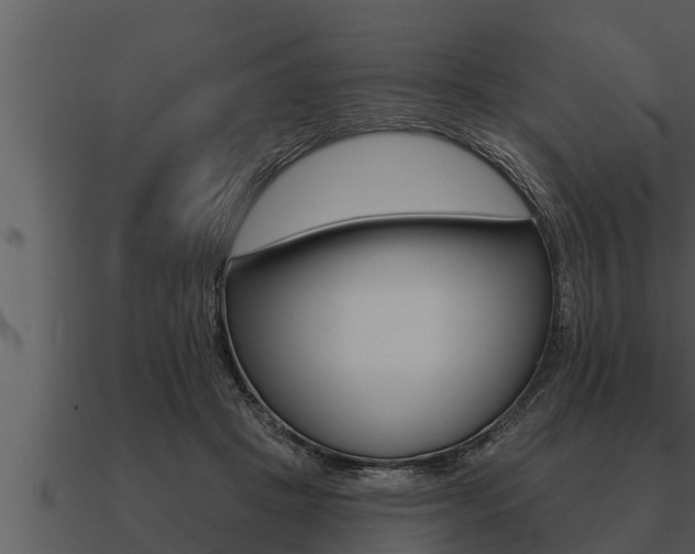 X0000091090457200708061003
