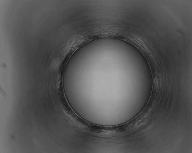X0000091090458200708061003