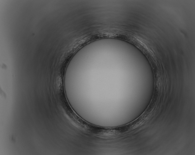 X0000091090459200708061003