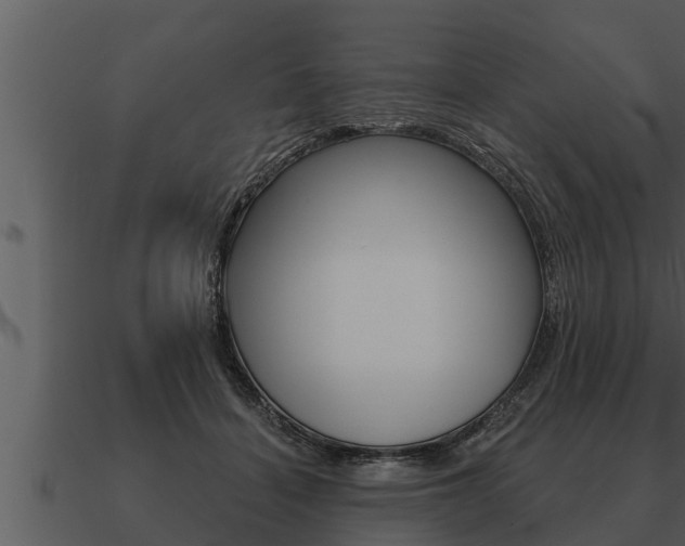 X0000091090460200708061003