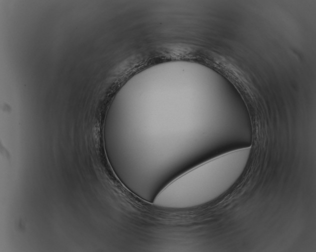 X0000091090461200708061003