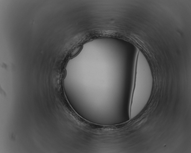 X0000091090462200708061003