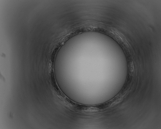 X0000091090463200708061003