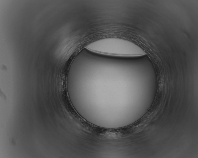 X0000091090464200708061003