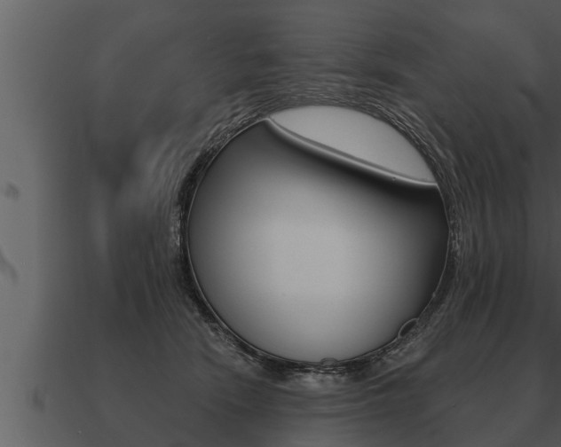 X0000091090466200708061003