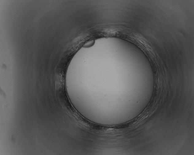 X0000091090467200708061003