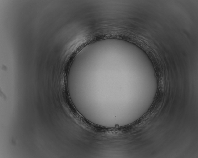 X0000091090468200708061003