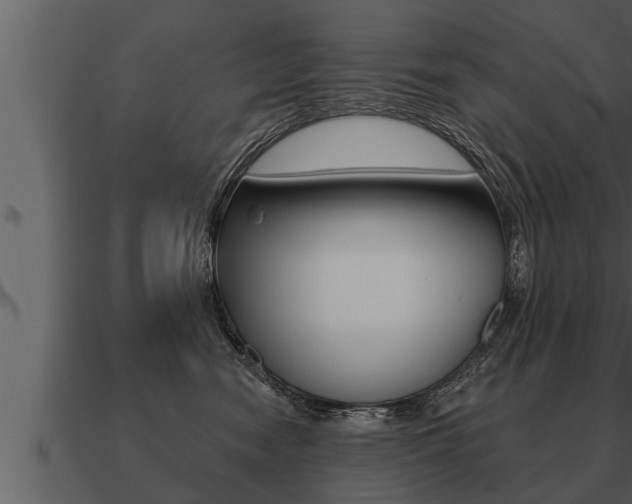 X0000091090474200708061003