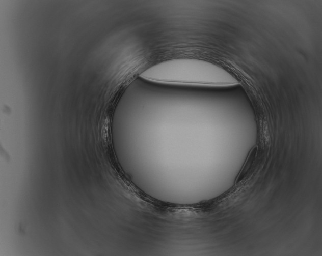 X0000091090475200708061003
