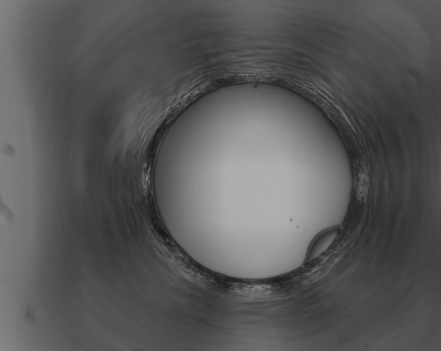 X0000091090476200708061003