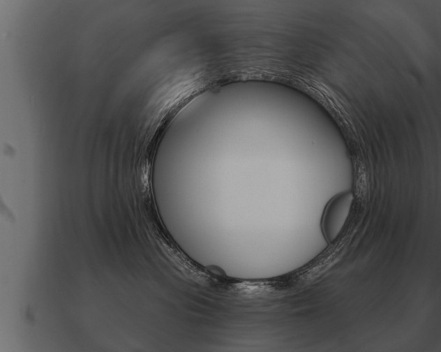 X0000091090477200708061003