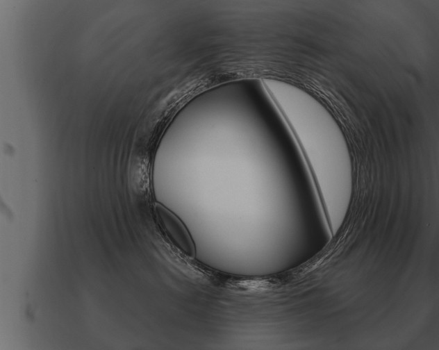 X0000091090478200708061003