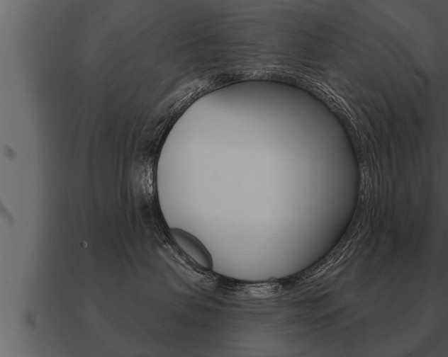 X0000091090479200708061003