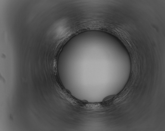 X0000091090480200708061003