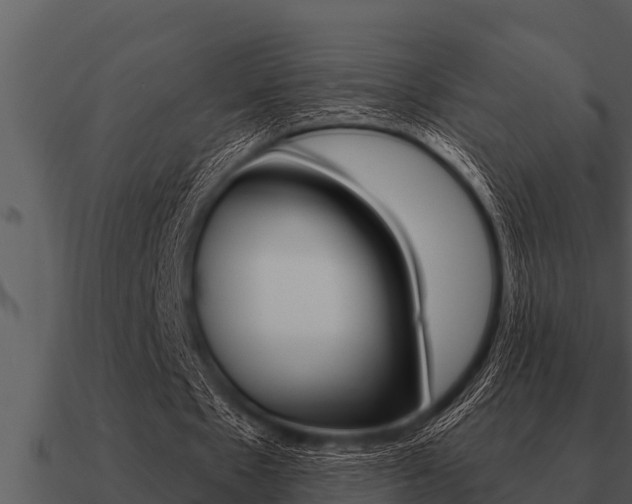 X0000091090481200708061002