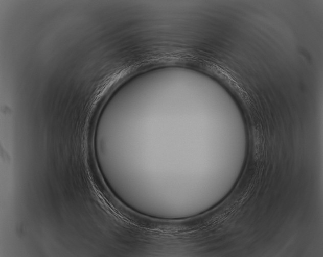 X0000091090482200708061002