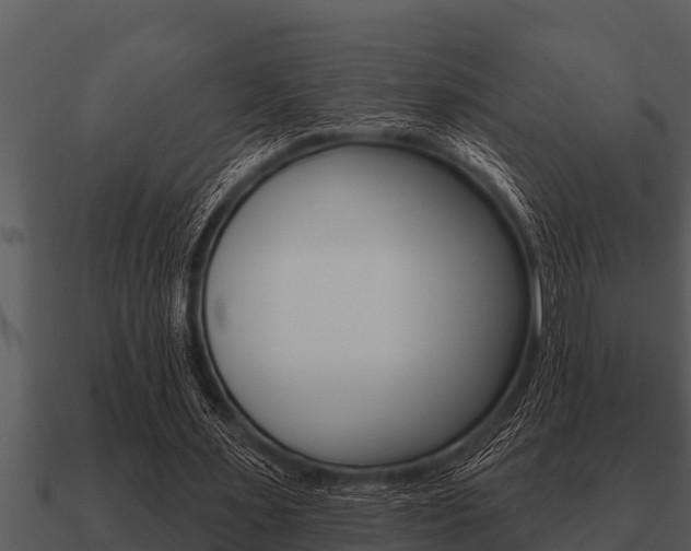 X0000091090483200708061002