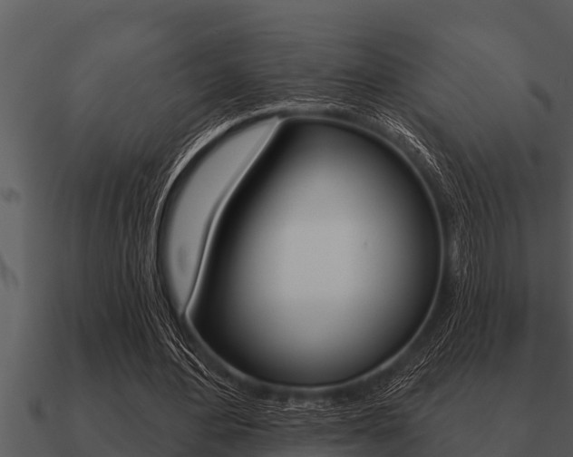 X0000091090484200708061002