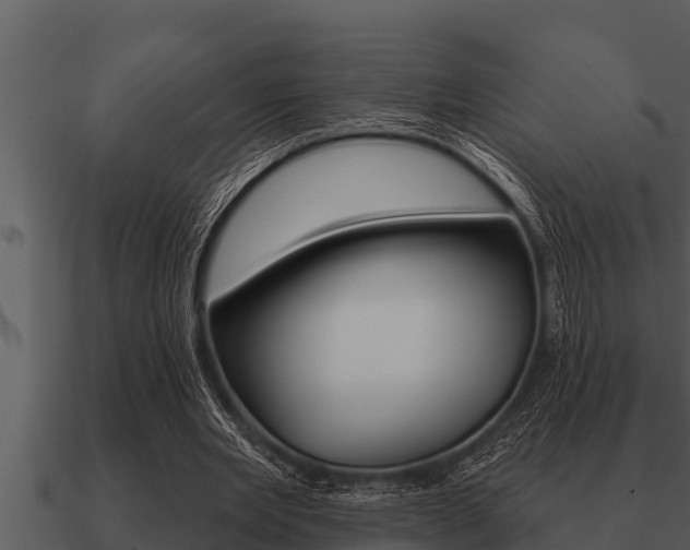 X0000091090485200708061002