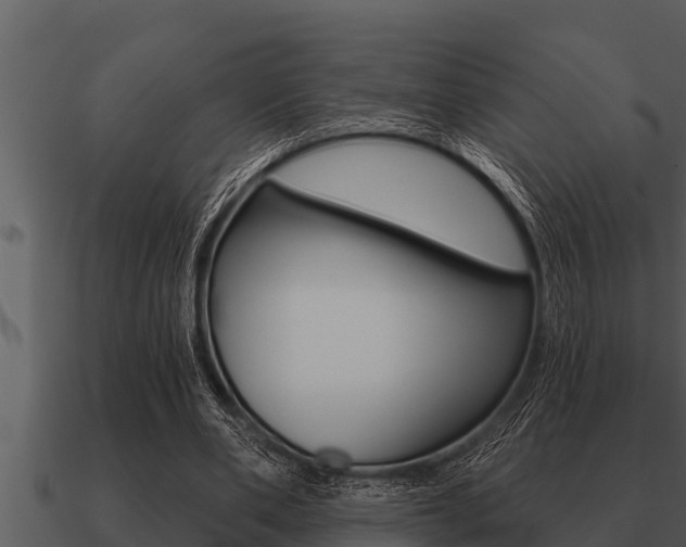 X0000091090486200708061002