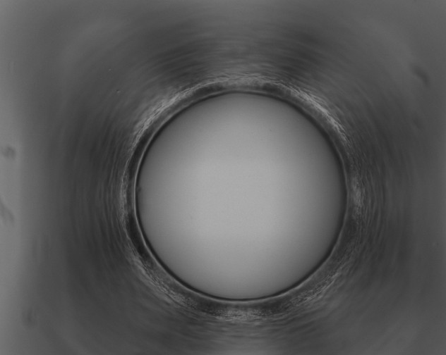 X0000091090487200708061002