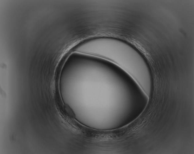 X0000091090488200708061002