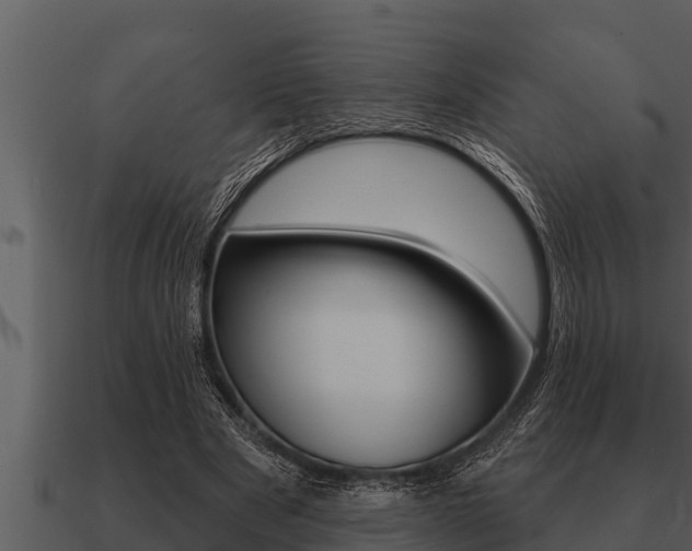X0000091090489200708061002