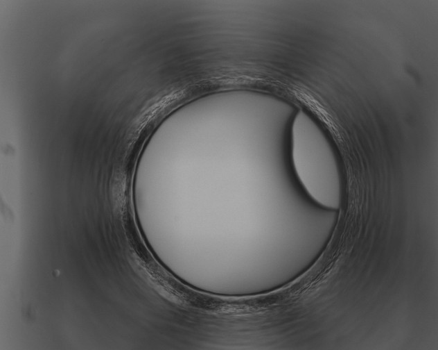 X0000091090490200708061002