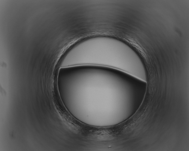 X0000091090492200708061002