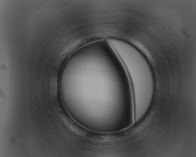 X0000091090493200708061002