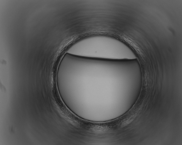 X0000091090494200708061002