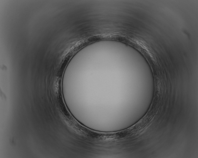 X0000091090495200708061002