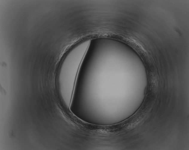 X0000091090496200708061002