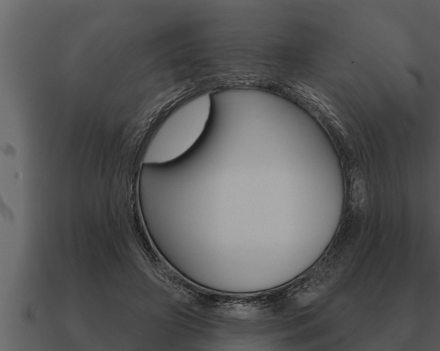 X0000091090498200708061002